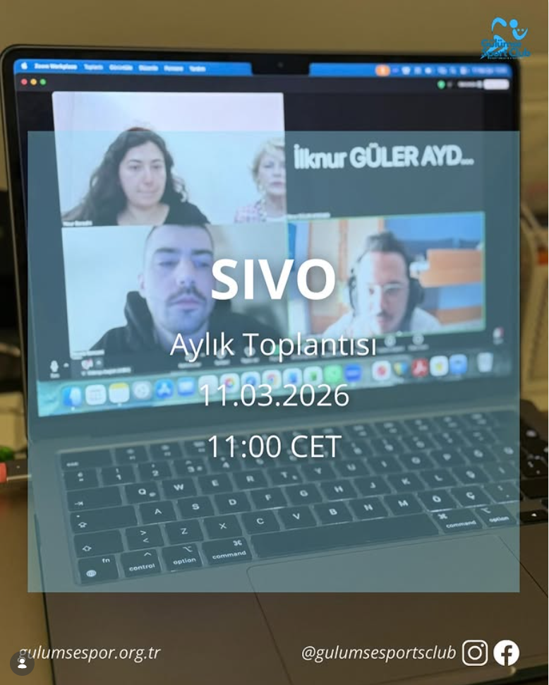Monthly online meeting of the SIVO project focused on risk management and upcoming activities